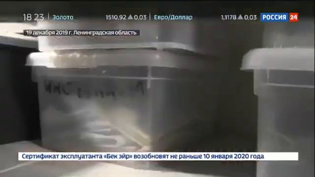 20 лет они угоняли машины. смотреть онлайн