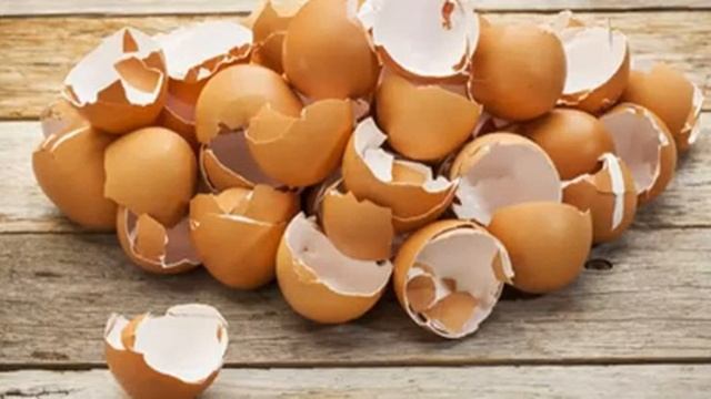 ОНА ЗАПЕКАЕТ СКОРЛУПУ ЯИЦ В ДУХОВКЕ, вместо того чтобы выбрасывать ее! Причина захватывающая… смотреть онлайн