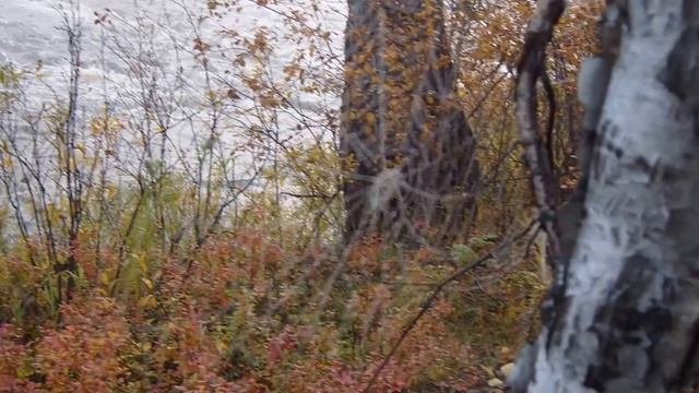 р.Джила смотреть онлайн