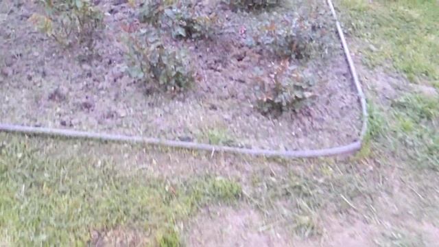 Можно увидеть последствия заморозков в Майские праздники смотреть онлайн