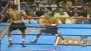 Jorge Paez -  El Maromero (Highlights & Knockouts)