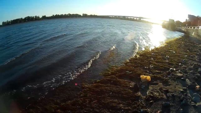 Река Дон обмелела, Ростов н/Д 2016 год смотреть онлайн