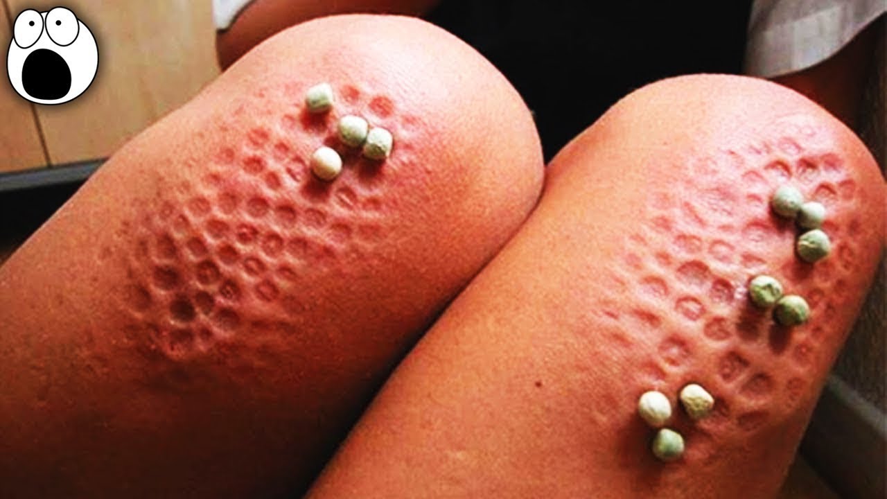 Очень Странные Школьные Правила Со Всего Мира смотреть онлайн