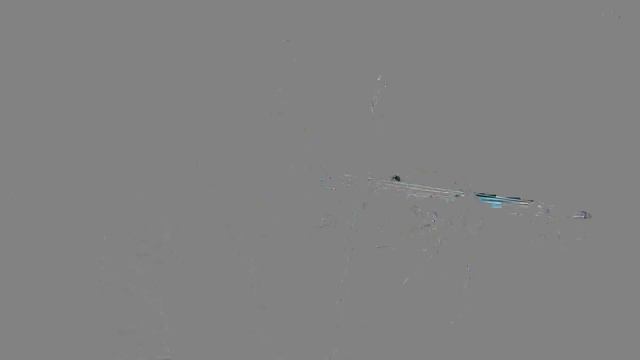 Artist Diploma – Shuichi Okada : W. A. Mozart: Violin Concerto No. 4, in D major, KV. 218