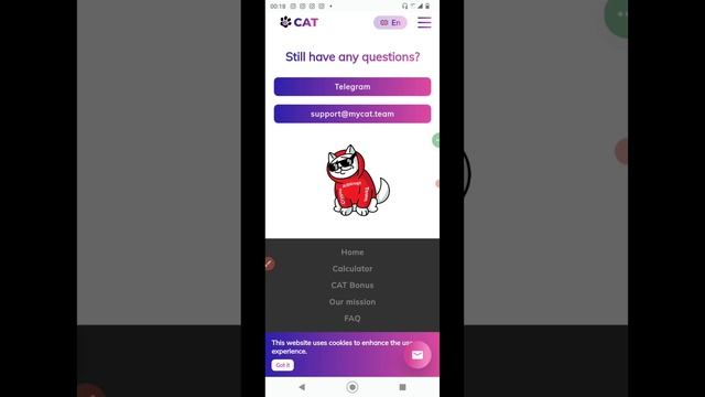 My CAT TEAM Review: Is mycat-team.com LEGIT or a SCAM? смотреть онлайн
