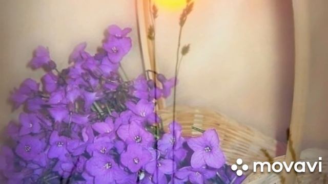 Ф.И. Тютчев "Чему бы жизнь нас ни учила..." смотреть онлайн