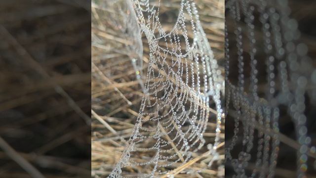 Музыка для медитации, фон. смотреть онлайн