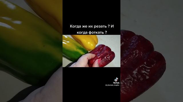 Когда его резать , и когда фотографировать ? Как правильно? смотреть онлайн
