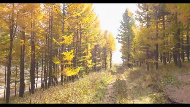 Прощание с осенью смотреть онлайн