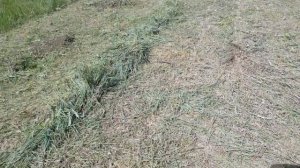 ВСЁ, ЧТО НУЖНО ЗНАТЬ О ДИСКЕ С ПОБЕДИТОВЫМИ НАПАЙКАМИ