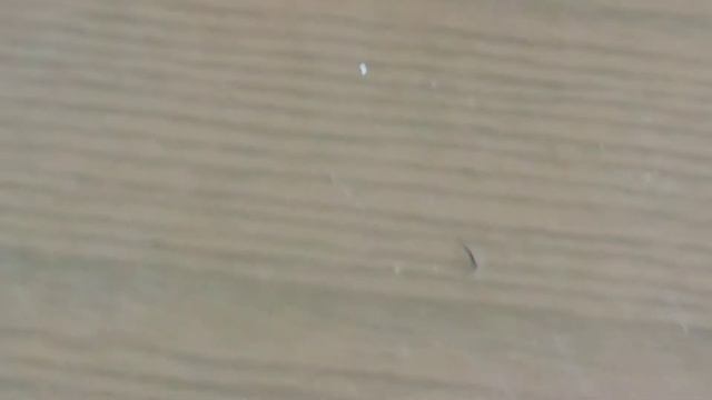 Как сделать блеск для губ смотреть онлайн
