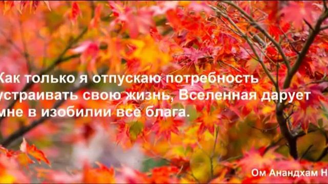 День 13 из 21 Медитации на Изобилие - Закон Непривязанности. смотреть онлайн