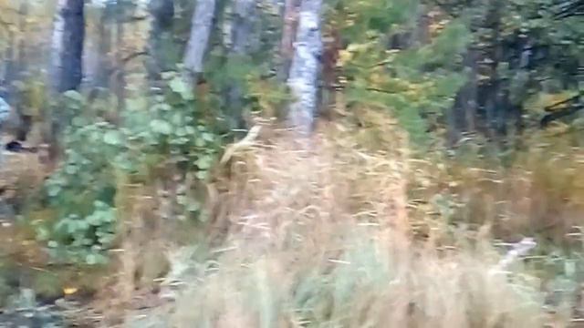 Рыбалка до последнего. смотреть онлайн