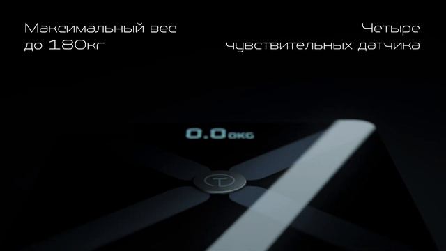 Электронные напольные весы model 001 | Titan Electronics смотреть онлайн