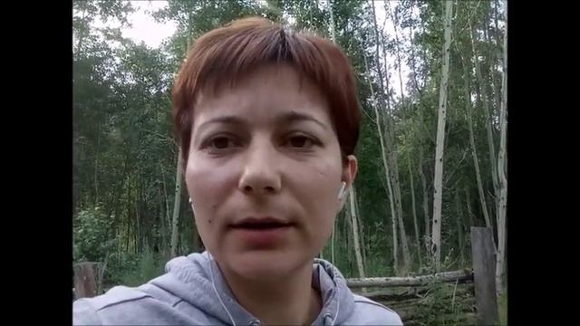 Половое созревание енотов Всё о енотах смотреть онлайн