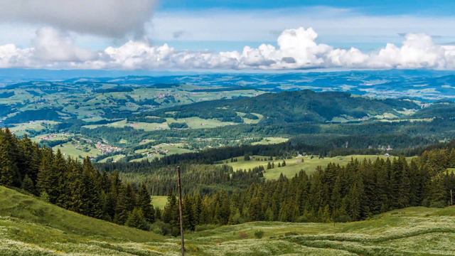 С ВЫСОТЫ птичьего полёта! РЕЛАКС! смотреть онлайн