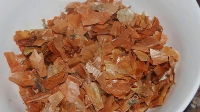 Вредители огурцов. Тля смотреть онлайн