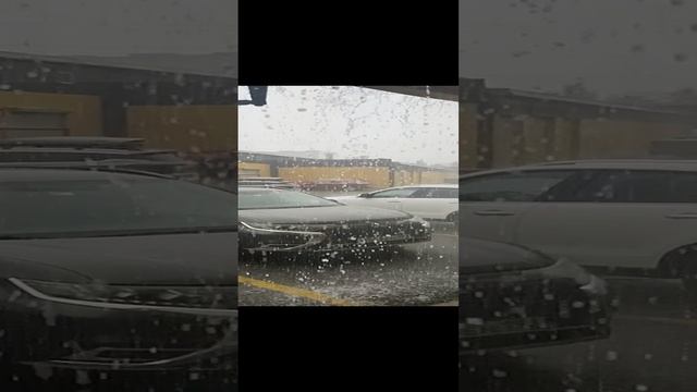 VID_20230626_161442743.mp4