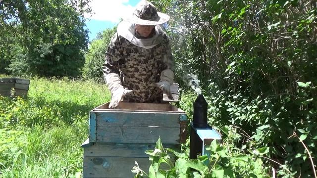 Ставлю магазины под мёд, проверяю ловушки. смотреть онлайн