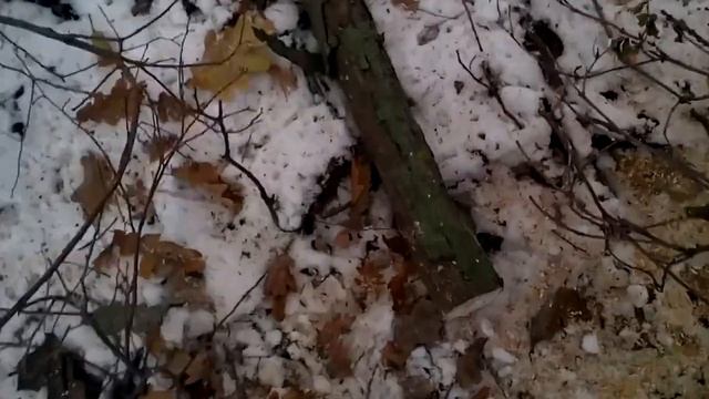 Пришла Зимушка Зима :) Пилим Дрова :) смотреть онлайн