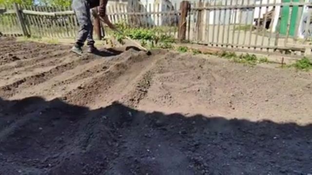 ?Закончился учебный год// ?Заказали роллы от БАНЗАЙ//?Засадили весь огород помидорами// смотреть онлайн