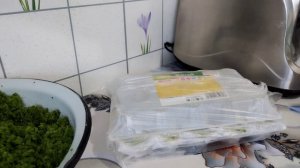 Четыре заготовки из ЧЕСНОЧНЫХ стрелок.