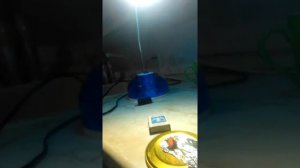 Лампадка из сала