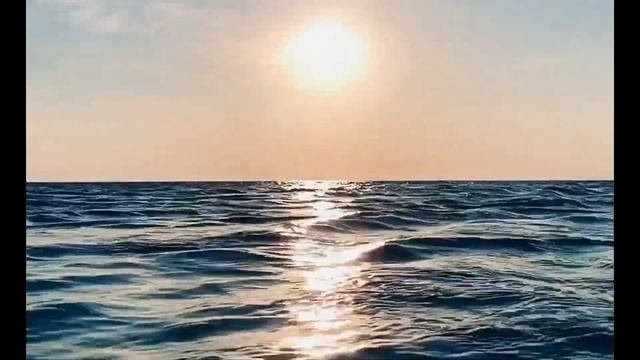 «Нет больше той любви, как если кто положит душу свою за друзей своих» смотреть онлайн