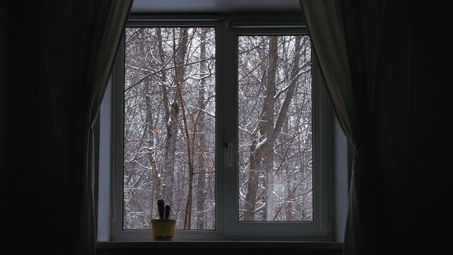 Успокаивающие звуки метели за окном