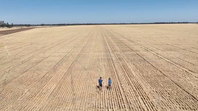 Overwatch® Herbicide - part of the rotation after first year success смотреть онлайн