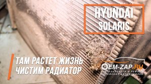 Обслуживание Hyundai Solaris. Мойка загрязненных радиаторов