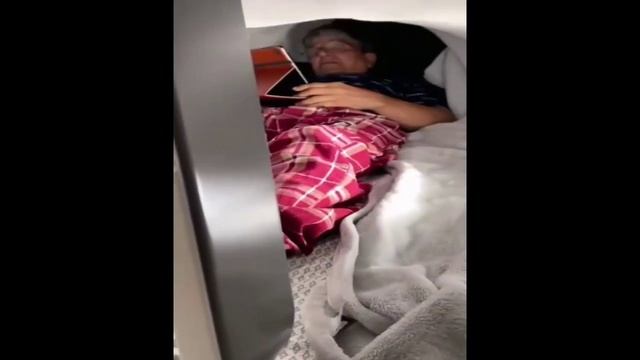 собака друг человека. смотреть онлайн