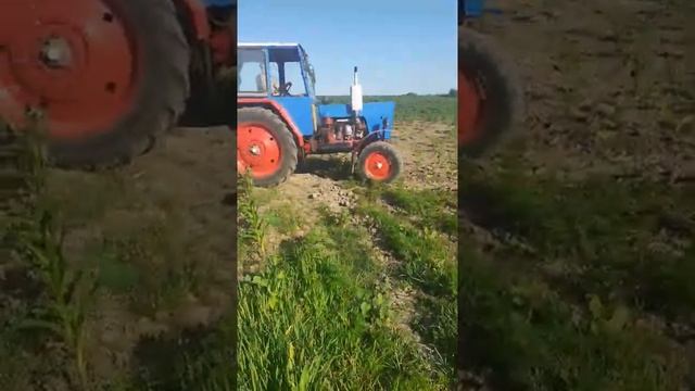 mtz 50 húzatás #2 смотреть онлайн