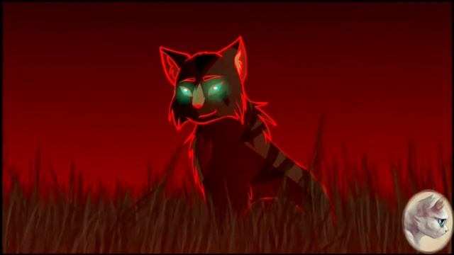 Коты Воители | Клип | ♧ смотреть онлайн