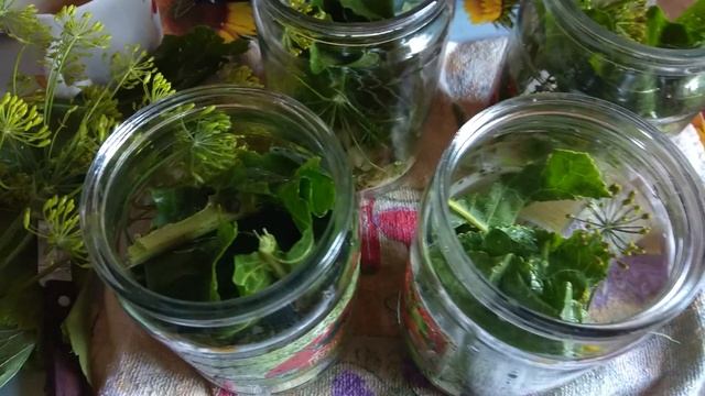 Огурцы с куркумой. Вкусный рецепт! смотреть онлайн