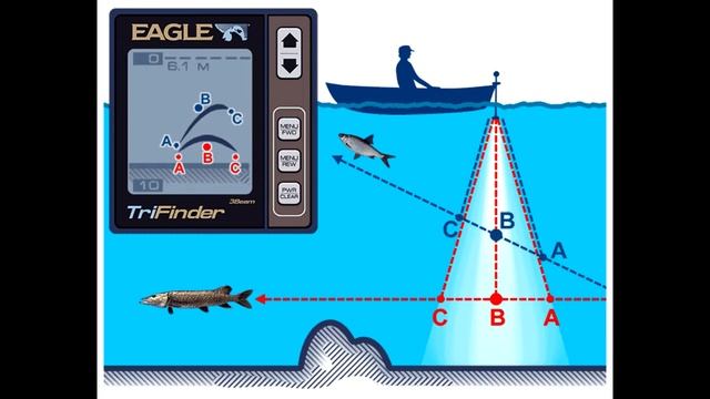 Принцип работы эхолота смотреть онлайн