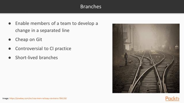 Effective Jenkins: Improving Quality in Delivery Pipeline with Jenkins: Branch Strategy|packtpub.co смотреть онлайн