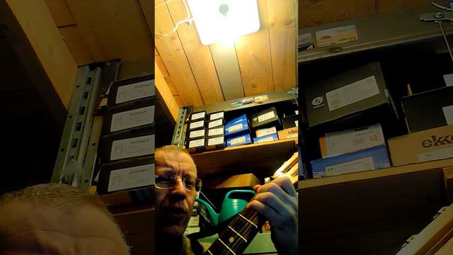 Люся Чеботина - Плакал Голливуд. Кавер.