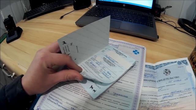 Документы для собаки для выезда за границу - как вывезти собаку за границу машине. смотреть онлайн