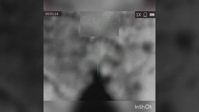 Волк на ваб. матерый взят смотреть онлайн