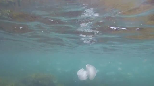 Мыс Тарханкут