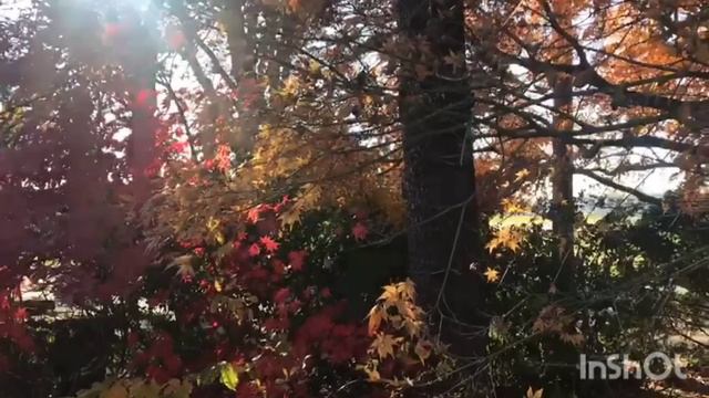 ФлоридаЯлта за развр@т в доме престарелых. Лена Хеппи наелась пиццы. Lena Happy FloridaYalta