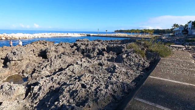 лайфхак для Casa Marina Reef and Beach смотреть онлайн