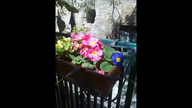 Civita di Bagnoregio,Italia смотреть онлайн