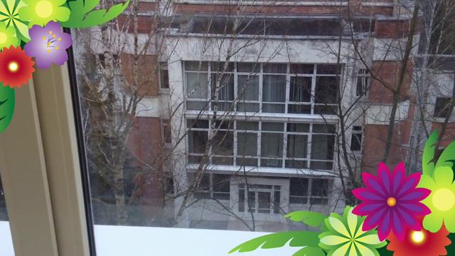 Синички клюют семечки смотреть онлайн