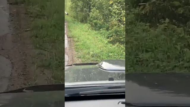 1002580358.mp4 смотреть онлайн
