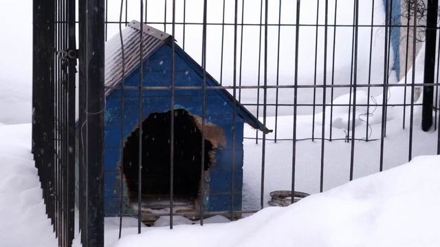 Аферист из Башкортостана. Дилшод Шерматов смотреть онлайн