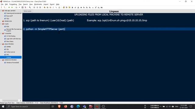 How to upload Linpeas/Any File from Local machine to Server. смотреть онлайн