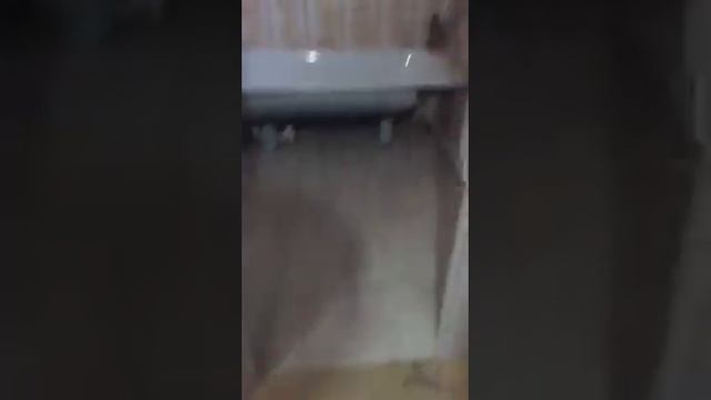За такие деньги, лучше дома не найти! 54м2 земля 6 соток! смотреть онлайн
