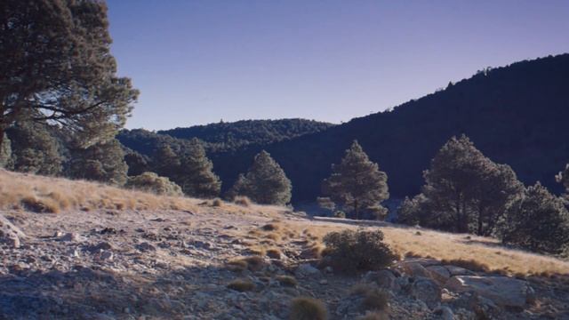 Wolfenstein 2 The New Colossus: Liesel TV Spot смотреть онлайн